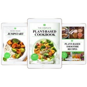 Raw vegan digital cookbooks cover image